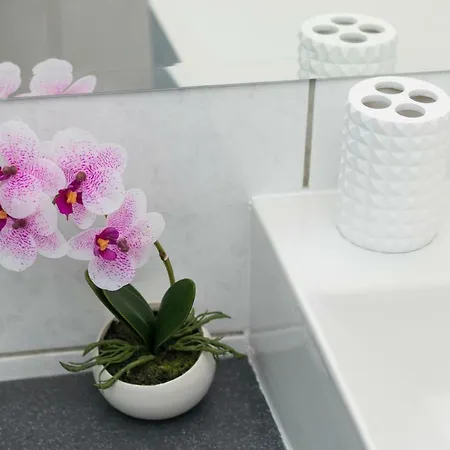Deluxe Navis Apartament