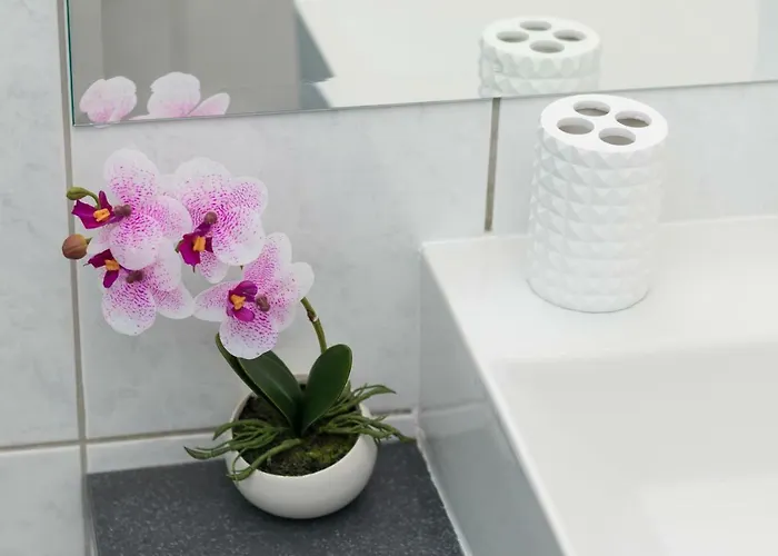 Deluxe Navis Lejlighed